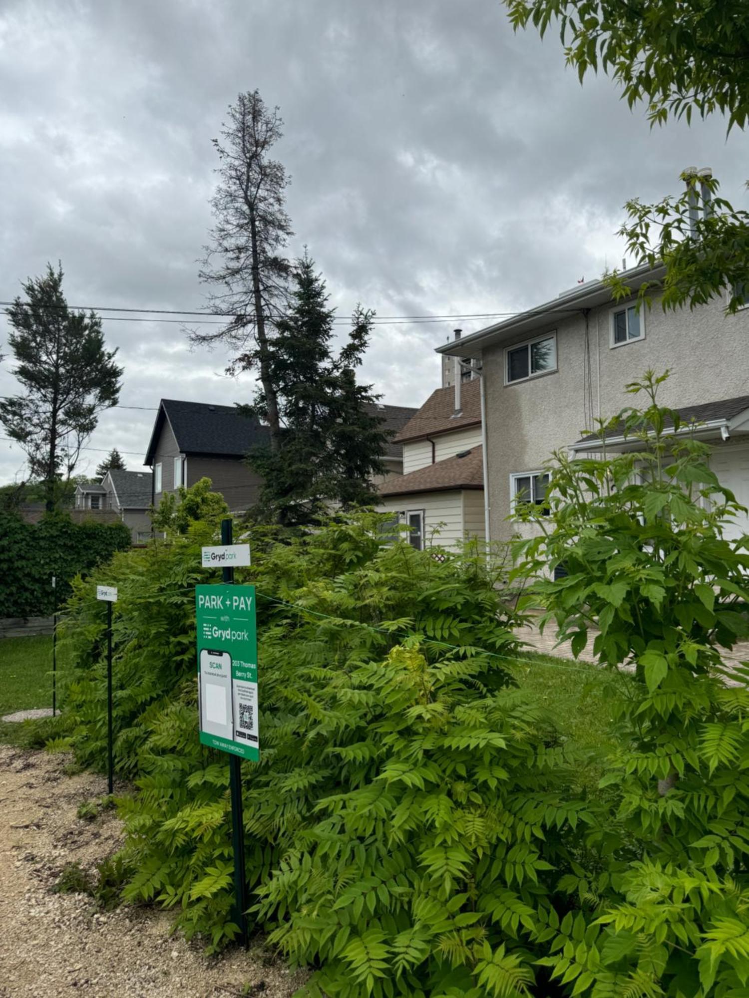 Villa Walking Distance To St Boniface, Easy Parking à Winnipeg Extérieur photo